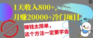 1天收入8张，月赚2w+冷门项目，赚钱太简单，这个方法一定要学会【干货】-网创资源