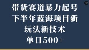 带货赛道暴力起号，下半年蓝海项目，新玩法新技术，单日500+-网创资源