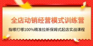 （11460期）全店动销-经营模式训练营，指哪打哪100%精准拉新保姆式起店实战课程-网创资源