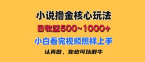 （11461期）小说撸金核心玩法，日收益500-1000+，小白看完照样上手，0成本有手就行-网创资源