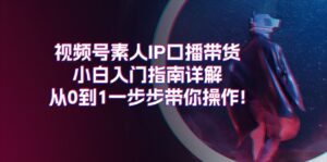 （11441期）视频号素人IP口播带货小白入门指南详解，从0到1一步步带你操作!-网创资源