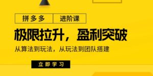 （11435期）拼多多·进阶课：极限拉升/盈利突破：从算法到玩法 从玩法到团队搭建-18节-网创资源