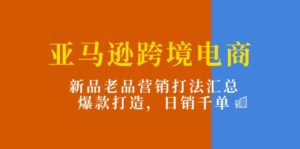 （11433期）亚马逊跨境电商：新品老品营销打法汇总，爆款打造，日销千单-网创资源