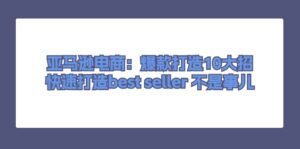 （11431期）亚马逊电商：爆款打造10大招，快速打造best seller 不是事儿-网创资源