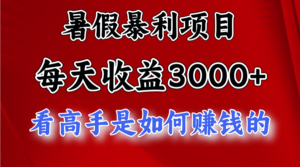 （11422期）暑期赚钱项目，每日盈利3000  加把劲可以达到5000 ，暑期大流量来了-网创资源