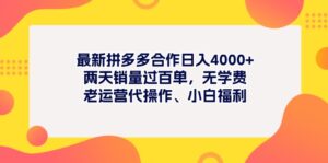 （11410期）全新拼多多平台新项目日入4000 二天销售量过百单，无培训费、老经营代实际操作、新手褔利-网创资源