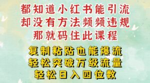 小红书靠复制粘贴一周突破万级流量池干货，以减肥为例，每天稳定引流变现四位数【揭秘】-网创资源