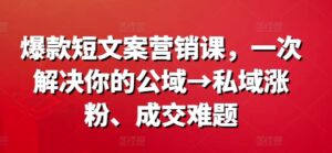 爆款短文案营销课，一次解决你的公域→私域涨粉、成交难题-网创资源
