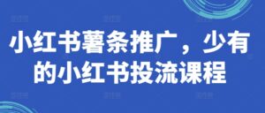 小红书薯条推广，少有的小红书投流课程-网创资源