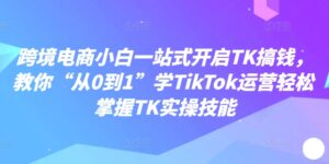 跨境电商小白一站式开启TK搞钱，教你“从0到1”学TikTok运营轻松掌握TK实操技能-网创资源
