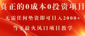 （11387期）真正的0成本0投资项目，无需任何垫资即可日入2000+，当下最火风口项目教学-网创资源