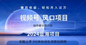 （11388期）2024蓝海项目，3min自动生成视频，月入了万-网创资源