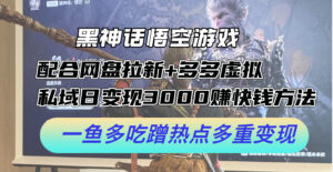 黑神话悟空游戏配合网盘拉新+多多虚拟+私域日变现3k+赚快钱方法，一鱼多吃蹭热点多重变现【揭秘】-网创资源