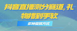（11380期）抖音直播测分赛道，多种变现方式，轻松日入1000+-网创资源
