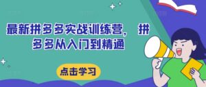 最新拼多多实战训练营， 拼多多从入门到精通-网创资源