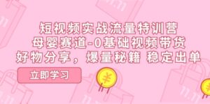 （11373期）短视频实战流量特训营，母婴赛道-0基础带货，好物分享，爆量秘籍 稳定出单-网创资源