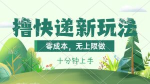 （11365期）撸快递最新玩法，零成本，无上限做，日产1000+。课程看完就会-网创资源