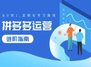 拼多多运营进阶指南，从0到1定制化学习路线-网创资源