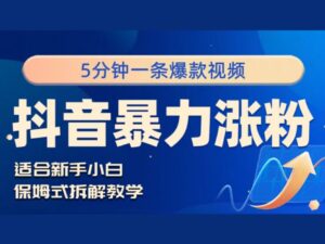 抖音暴力涨粉野路子，五分钟一条视频，适合新手小白!-网创资源