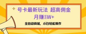 号卡最新玩法，高佣金当日出单，月赚1W+-网创资源