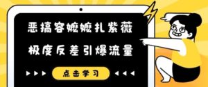 恶搞容嬷嬷扎紫薇短视频，极度反差引爆流量-网创资源
