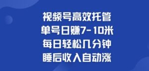 视频号高效托管，单号日赚7-10米，每日轻松几分钟，睡后收入自动涨-网创资源