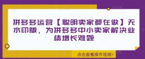 拼多多运营【聪明卖家都在做】无水印版，为拼多多中小卖家解决业绩增长难题-网创资源
