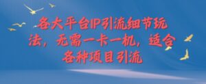 各大平台IP引流细节玩法，无需一卡一机，适合各种项目引流-网创资源