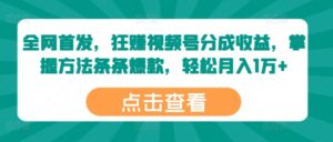 全网首发，狂赚视频号分成收益，掌握方法条条爆款，轻松月入1万+-网创资源