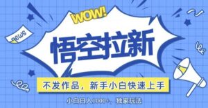 悟空拉新最新玩法，无需作品暴力出单，小白快速上手-网创资源