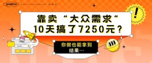 靠卖“大众需求”，10天搞了7250元?你做也能拿到结果…-网创资源