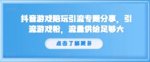 抖音游戏陪玩引流专题分享，引流游戏粉，流量供给足够大-网创资源