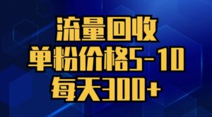 流量回收，单粉价格5-10，每天300+，轻松月入五位数-网创资源