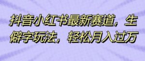 抖音小红书最新赛道，生僻字玩法，轻松月入过万-网创资源