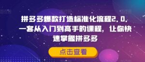 拼多多爆款打造标准化流程2.0，一套从入门到高手的课程，让你快速掌握拼多多-网创资源