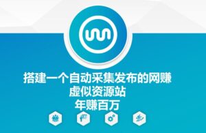 搭建一个自动采集发布的网创虚似资源站年赚百W【揭秘】-网创资源