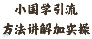 国学引流方法实操教学，日加50个精准粉【揭秘】-网创资源