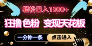 狂撸S粉变现天花板，轻松日入1000+，一单200+-网创资源