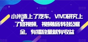 小米造上了汽车，VIVO研究上了短视频，视频板砖轻松掘金，有播放量就有收益-网创资源