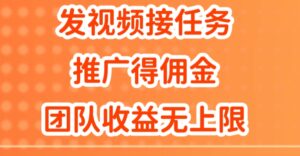 发视频接任务，推广得佣金，做团队推广收益无上限-网创资源