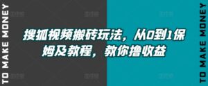 搜狐视频搬砖玩法，从0到1保姆及教程，教你撸收益-网创资源