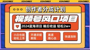 【老人言赛道领域】视频号最新爆火赛道，0粉新号条条过原创热门，小白轻松易上手-网创资源