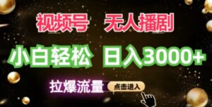 视频号蓝海项目，无人播剧拉爆流量，小白也能轻松日入3K-网创资源