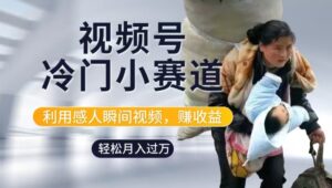 利用感人瞬间视频，赚视频号分成计划收益，操作简单，新手小白轻松上手-网创资源