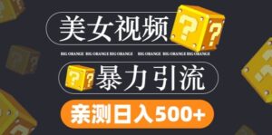 搬运tk美女视频全网分发，日引s粉300+，轻松变现，不限流量不封号【揭秘】-网创资源