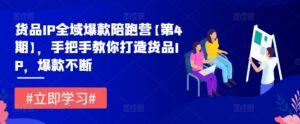 货品IP全域爆款陪跑营【第4期】，手把手教你打造货品IP，爆款不断-网创资源