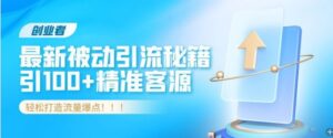 创业者必看，解锁最新被动引流秘籍，日引100+精准客源，轻松打造流量爆点!-网创资源
