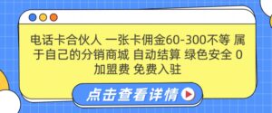 电话卡合伙人，一张卡佣金60-300不等，0加盟费， 搭建属于自己的分销商城，自动结算-网创资源
