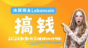 法国闲鱼Leboncoin跨境电商教程：环境邮箱电话解决产品上传及流量，悄悄赚钱【揭秘】-网创资源