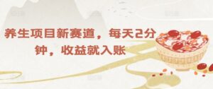 养生项目新赛道，每天2分钟，收益就入账-网创资源